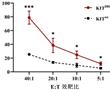 靶向KIT D816Y突變衍生新抗原的TCR及應用