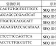 多基因編輯提高水稻抗性淀粉含量的方法