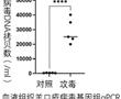 一種羊口瘡病毒小鼠感染模型的構建方法及其應用與流程