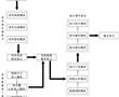 一種音頻功率放大器及其音頻系統的制作方法