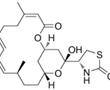 Latrunculin A在制備治療或預防心血管疾病的藥物中的應用的制作方法