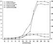 一種直投式低溫酸奶發酵劑及其制備方法與應用與流程