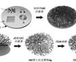 可滲透可拉伸生物電子器件及其使用和制造方法