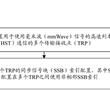 FR2 HST部署中的RRH間L1-RSRP測量和TCI狀態切換的制作方法