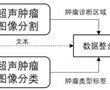 一種融合圖像識別和擴散式生成模型的超聲報告生成方法與流程